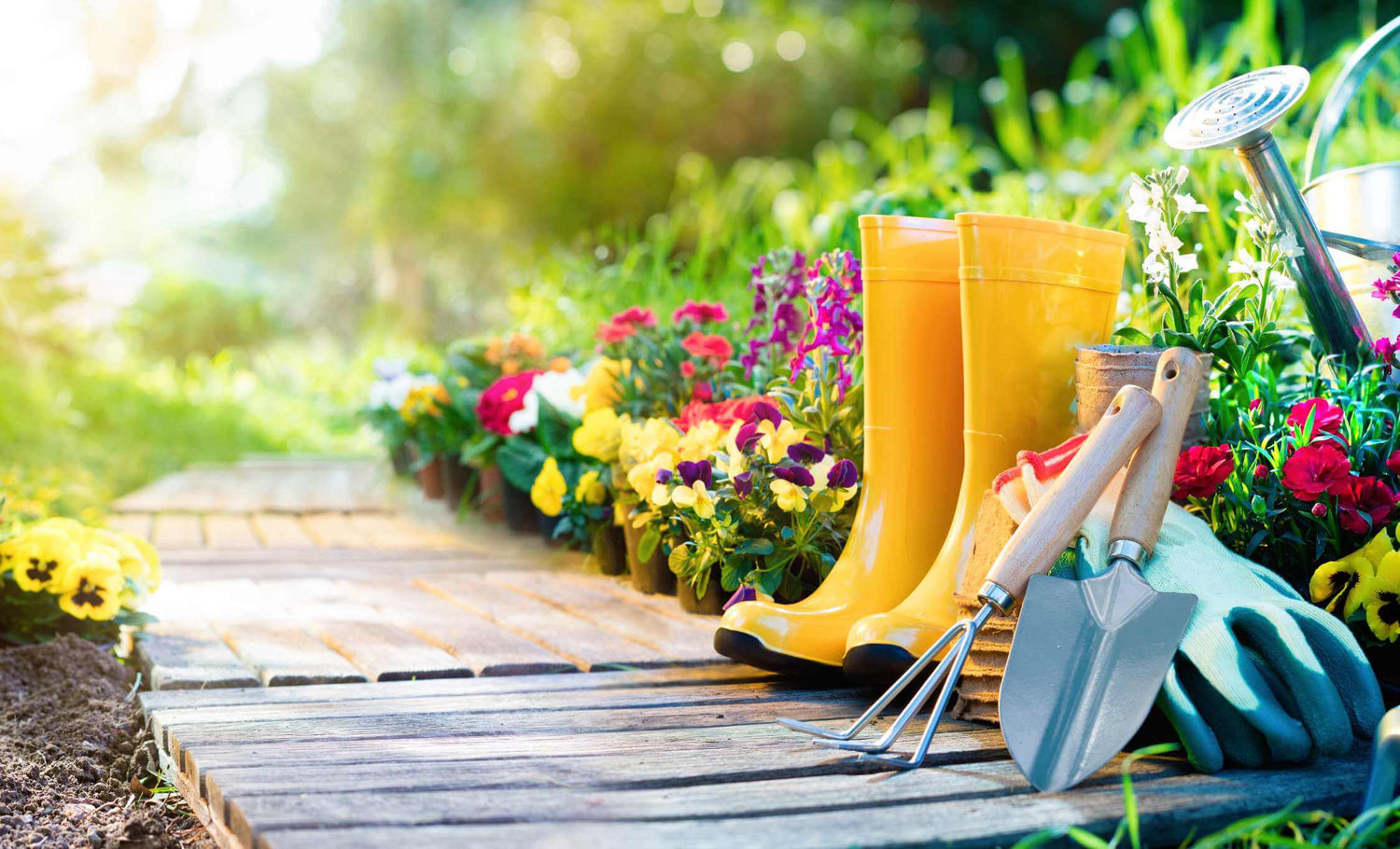 Prodotti per il giardino